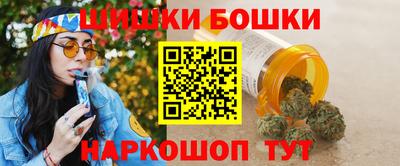 мдпв Гатчина