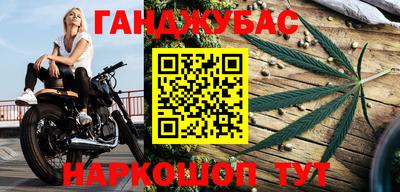 гидра Гай