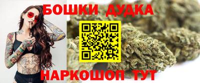 гидра Гай