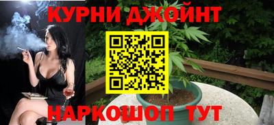 мдпв Гатчина