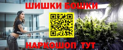 мдпв Гатчина